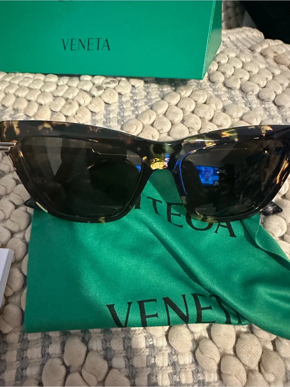 Bottega Veneta designer cat